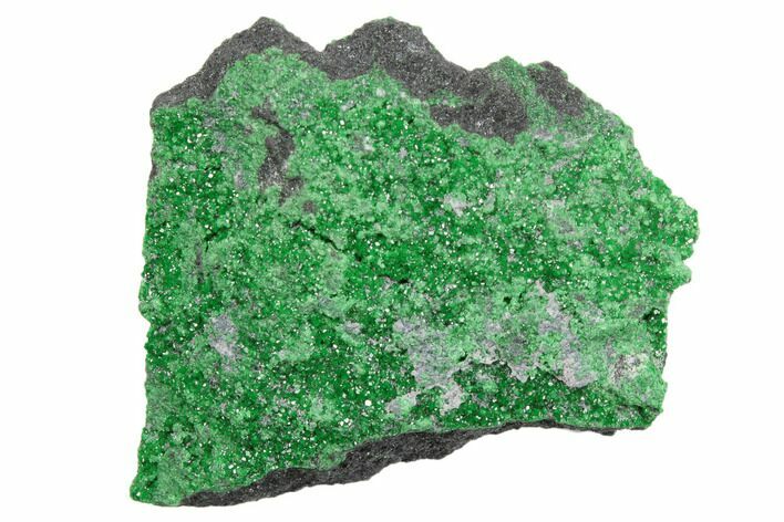 Green Uvarovite (Garnet Group) Cluster - Russia #195598